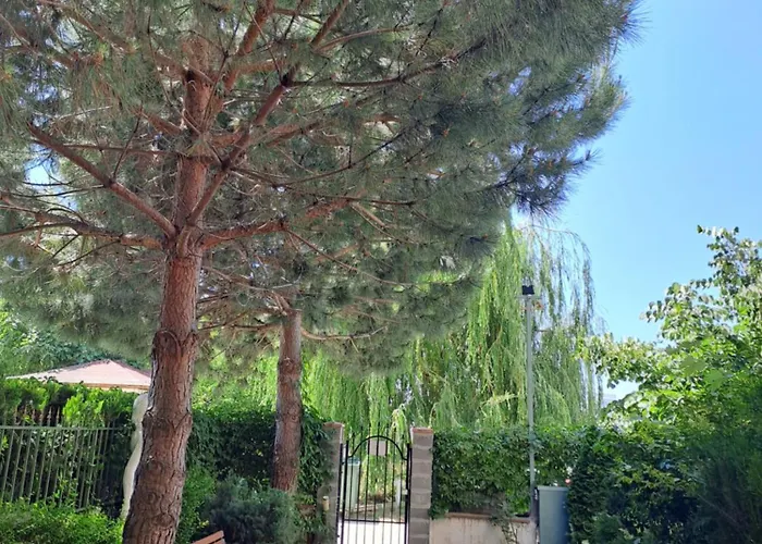 Breeze ساني بيتش