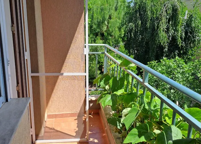 Breeze Apartmán Sluneční pobřeží